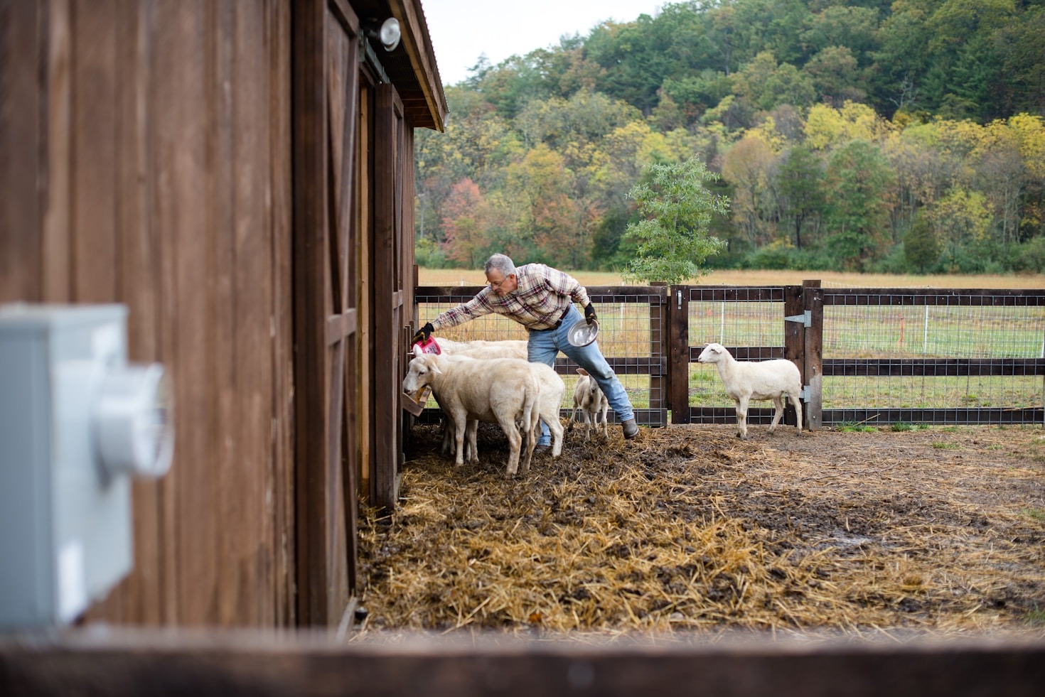 From Beaches to Barns: Starting Over in Tennessee